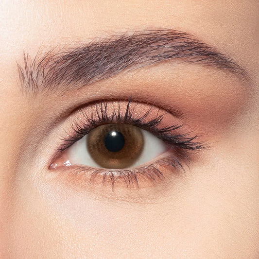Bella Contact Lenses, brown colors named Siren Bronze on Dark brown eyes in Saudi Arabia