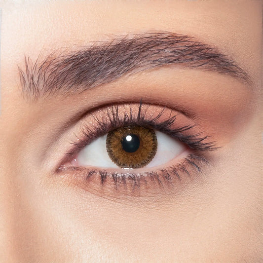 Contour Hazel