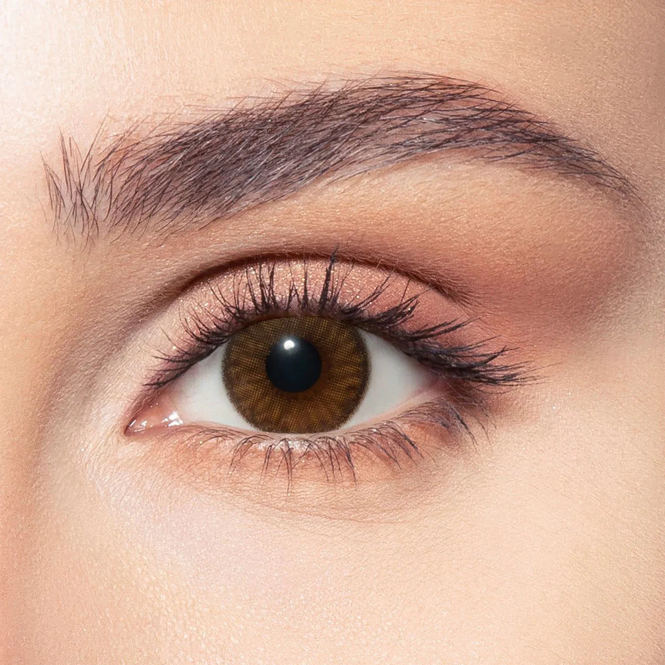 Bella Contact Lenses, brown colors named Nerelle on Dark brown eyes in Saudi Arabia